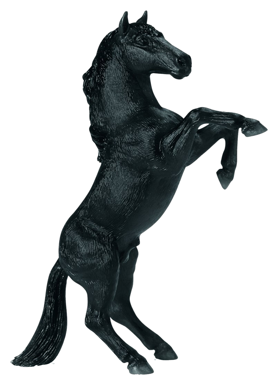 favicon.png favicon.png